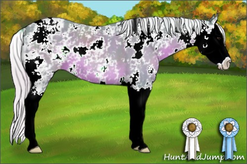 Horse Color:Watercolor Silver Black Sabino Splash 