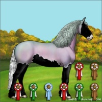 Horse Color:Watercolor Silver Brown Sabino Splash