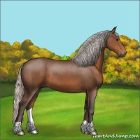 Horse Color:Silver Brown 