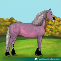 Horse Color:Watercolor Silver Black Sabino