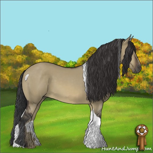Horse Color:Buckskin Dun Tobiano 
