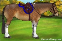 Horse Color:Buckskin Tobiano 