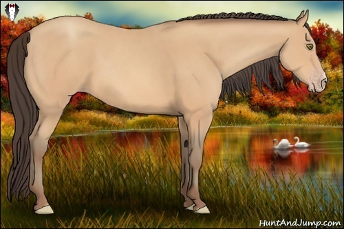 Horse Color:Amber Champagne 