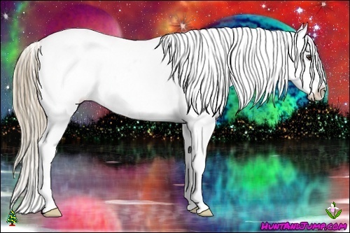 Horse Color:Chestnut Ice Appaloosa 