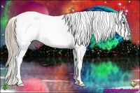 Horse Color:Chestnut Ice Appaloosa 