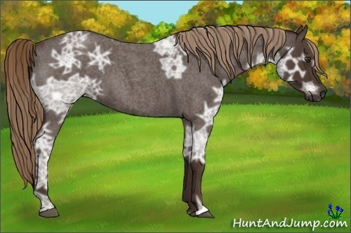 Horse Color:Liver Red Ice Roan 