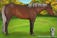 Horse Color:Silver Brown