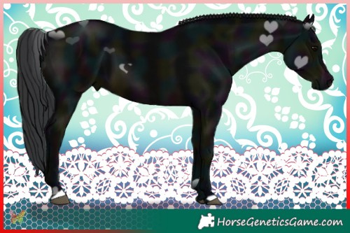 Horse Color:Midnight Brown 