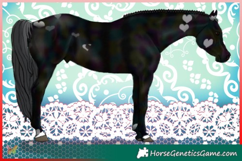 Horse Color:Midnight Brown 