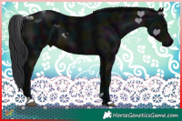 Horse Color:Midnight Brown 