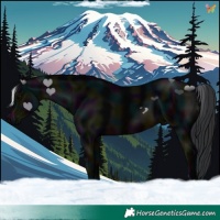 Horse Color:Midnight Brown 