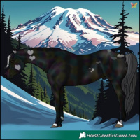 Horse Color:Midnight Brown