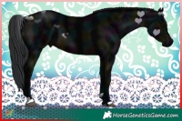 Horse Color:Midnight Brown