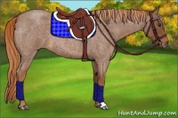 Horse Color:Red Roan