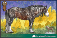 Horse Color:White Spotted Liver Red Dun Mushroom Sabino  and Brown Mushroom Sabino Splash 