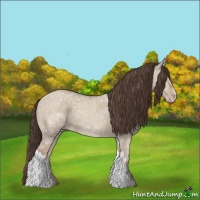 Horse Color:Classic Champagne Ice Dun 
