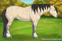 Horse Color:Bay Ice Roan Dun Splash and Buckskin Ice Dun
