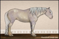 Horse Color:Watercolor White Spotted Silver Classic Champagne 