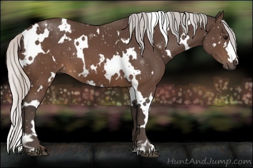 Horse Color:White Spotted Silver Brown 