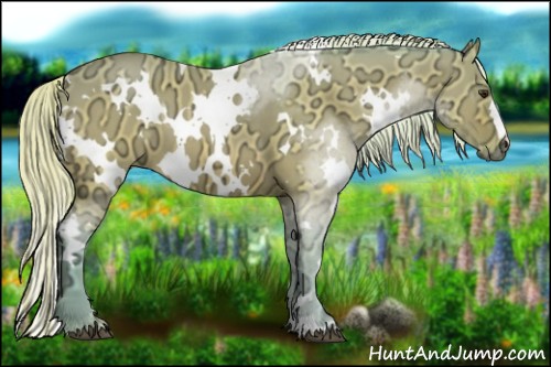 Horse Color:Watercolor White Spotted Silver Brown Ice Dun
