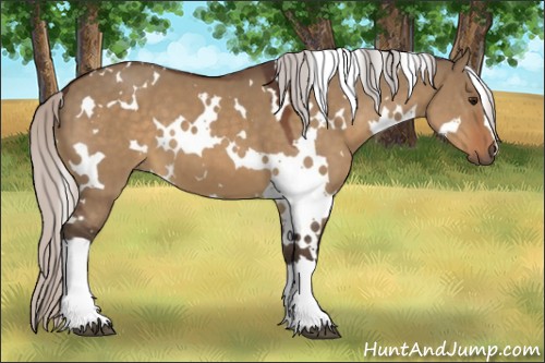 Horse Color:White Spotted Silver Brown Dun 