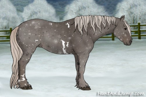Horse Color:White Spotted Silver Black Sabino 