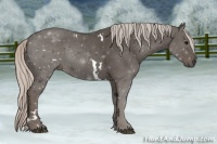Horse Color:White Spotted Silver Black Sabino 