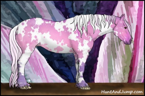 Horse Color:Watercolor White Spotted Silver Bay Dun 