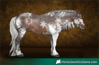 Horse Color:White Spotted Silver Brown Ice Sabino 