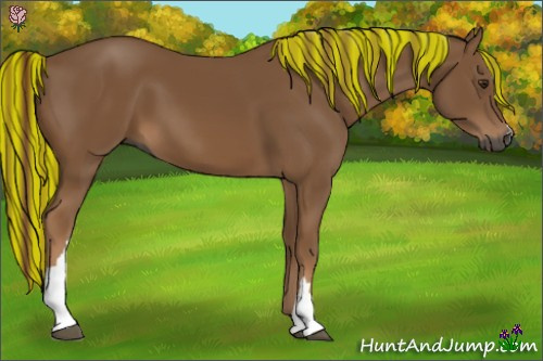 Horse Color:Gray Painted Chestnut