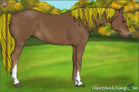 Horse Color:Gray Painted Chestnut 