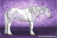 Horse Color:Watercolor Silver Grullo Chinchilla Tobiano 