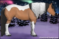 Horse Color:Bay Roan Tobiano 