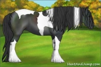 Horse Color:Black Tobiano 