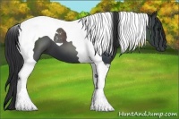 Horse Color:Black Tobiano 