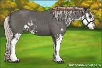 Horse Color:Silver Black Sabino 