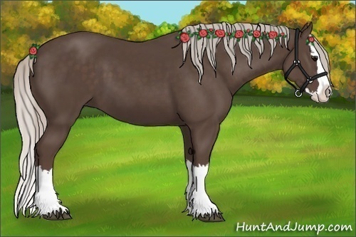 Horse Color:Silver Black Sabino Splash