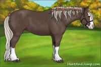 Horse Color:Silver Black Sabino Splash