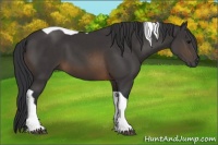 Horse Color:Buckskin Tobiano