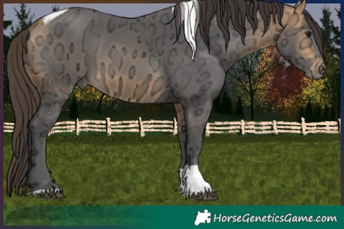 Horse Color:Buckskin Ice Tobiano 