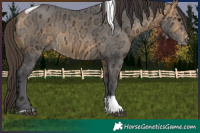 Horse Color:Buckskin Ice Tobiano 