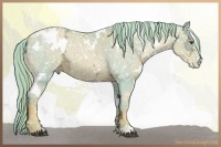 Horse Color:Watercolor White Spotted Liver Chestnut Ice Pearl Snowflake Varnish