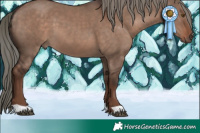 Horse Color:Liver Red Dun Mushroom 