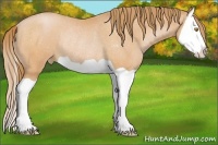 Horse Color:Bay Pearl Splash Varnish Rabicano