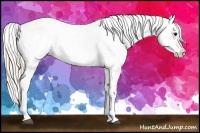 Horse Color:Silver Black Near Leopard