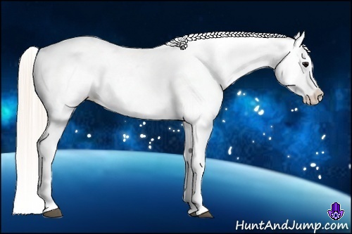 Horse Color:Silver Black Varnish Rabicano