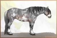 Horse Color:White Spotted Brown Roan Frame