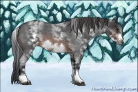 Horse Color:White Spotted Brown Roan Frame