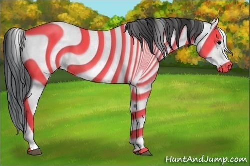 Horse Color:White Spotted Brown Roan Frame 