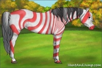 Horse Color:White Spotted Brown Roan Frame 